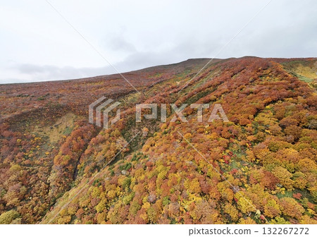 Autumn leaves of Mt. Kurikoma aerial view 132267272