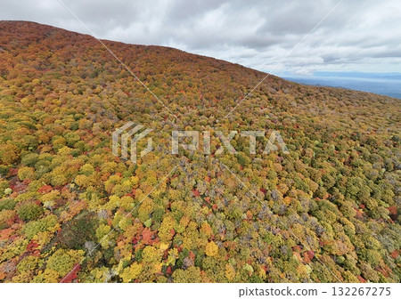 栗駒山秋葉的鳥瞰圖 栗駒山秋葉的鳥瞰圖 132267275