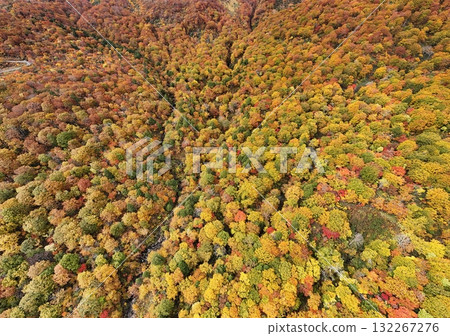 栗駒山秋葉的鳥瞰圖 栗駒山秋葉的鳥瞰圖 132267276