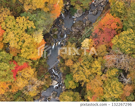 栗駒山秋葉的鳥瞰圖 132267296