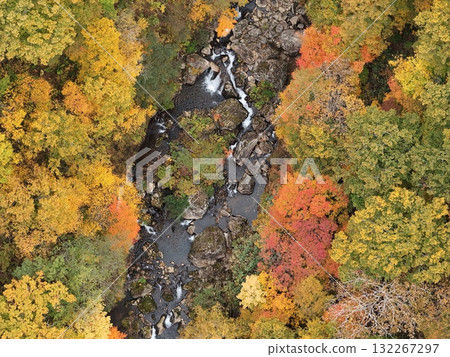 栗駒山秋葉的鳥瞰圖 132267297