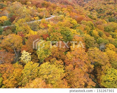 栗駒山秋葉的鳥瞰圖 132267301