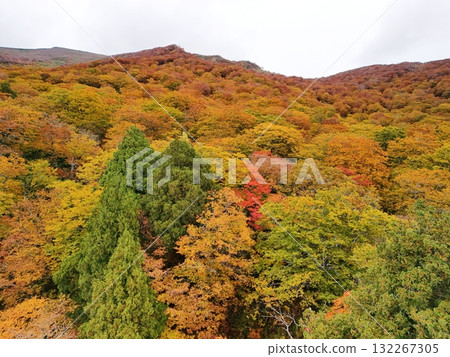 Autumn leaves of Mt. Kurikoma aerial view Autumn leaves of Mt. Kurikoma aerial view 132267305