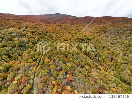 Autumn leaves of Mt. Kurikoma aerial view Autumn leaves of Mt. Kurikoma aerial view 132267306