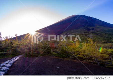 [Yamanashi Prefecture] Mt. Fuji - Morning light illuminates the inner garden 132267326