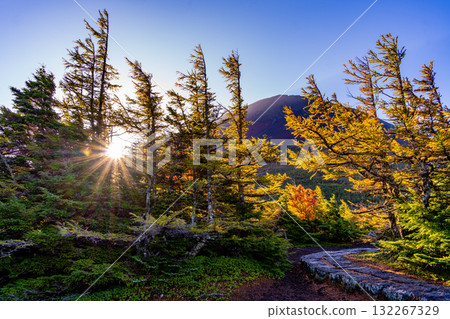 【山梨縣】富士山~晨曦照亮內庭 【山梨縣】富士山~晨曦照亮內庭 132267329