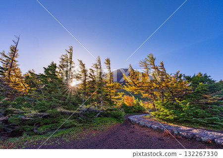 [Yamanashi Prefecture] Mt. Fuji - Morning light illuminates the inner garden 132267330