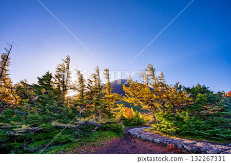 [Yamanashi Prefecture] Mt. Fuji - Morning light illuminates the inner garden 132267331
