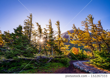 【山梨縣】富士山～晨曦照亮內庭 132267333