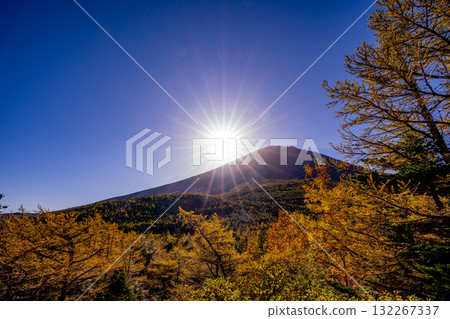 [Yamanashi Prefecture] Mt. Fuji - Morning light illuminates the inner garden 132267337