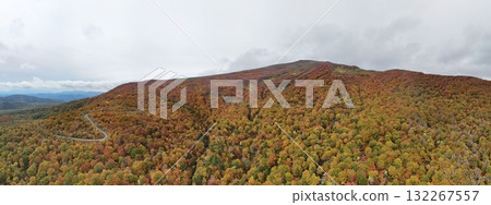 Aerial panoramic photo of autumn leaves on Mount Kurikoma 132267557
