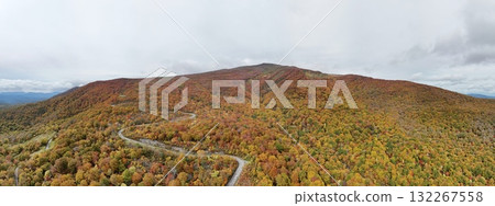 Aerial panoramic photo of autumn leaves on Mount Kurikoma 132267558