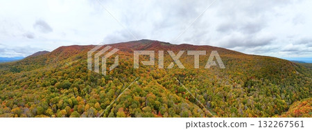 栗駒山秋葉的空中全景照片 132267561