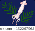 Illustration of spear squid 132267568