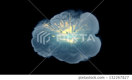 Basal Ganglia Thalamocortical Dopaminergic Pathway Axial View 132267827
