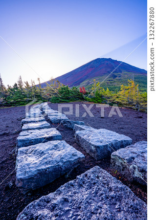 [Yamanashi Prefecture] Mt. Fuji: Sunrise seen from the Okuniwa Promenade 132267880
