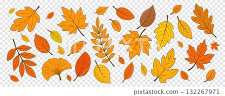 A set of autumn leaves isolated on a transparent background. Hello autumn. A set of autumn leaves isolated on a transparent background. Hello autumn. 132267971