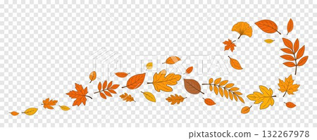 Autumn leaves in the form of a spiral are highlighted on a transparent background. 132267978