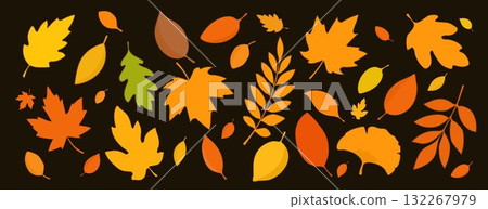A set of autumn leaves isolated on a brown background. Hello autumn. 132267979