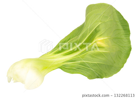 Fresh Taiwan bok choy isolated on white background Fresh Taiwan bok choy isolated on white background 132268113