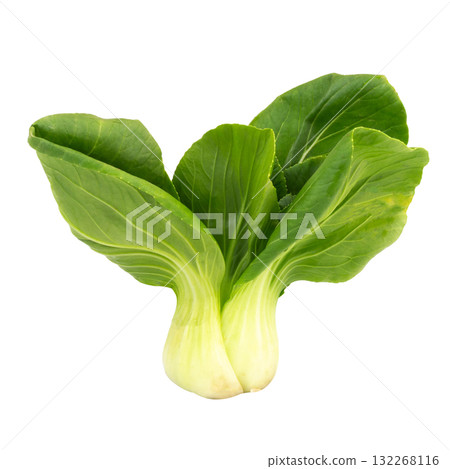 Fresh Taiwan bok choy isolated on white background Fresh Taiwan bok choy isolated on white background 132268116
