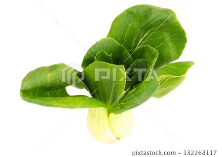 Fresh Taiwan bok choy isolated on white background Fresh Taiwan bok choy isolated on white background 132268117