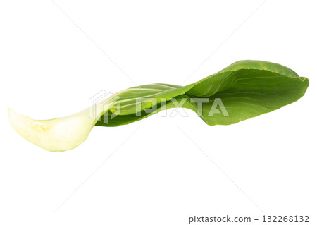 Fresh Taiwan bok choy isolated on white background 132268132