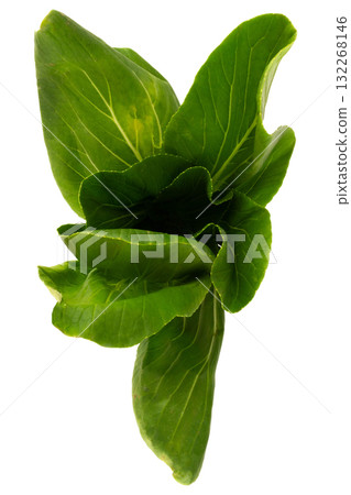 Fresh Taiwan bok choy isolated on white background 132268146