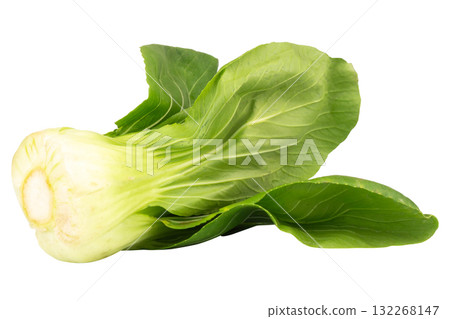 Fresh Taiwan bok choy isolated on white background Fresh Taiwan bok choy isolated on white background 132268147