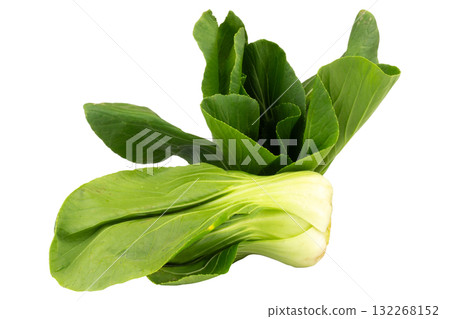 Fresh Taiwan bok choy isolated on white background Fresh Taiwan bok choy isolated on white background 132268152