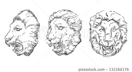Hand drawing lion heads vector illustration 132268176
