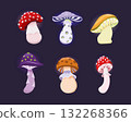 Poisonous mushrooms cartoon set for magic potion, fairtale forest, Halloween decor. Vector illustration 132268366