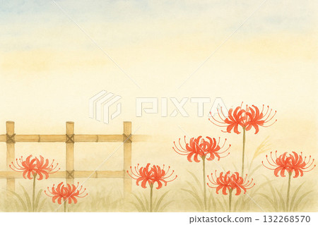 朱頂紅系列：竹籬笆與朱頂紅 132268570