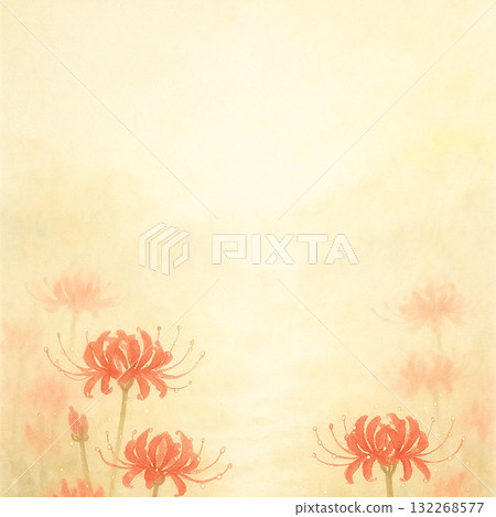 Cluster amaryllis series: Cluster amaryllis wet with morning dew 132268577