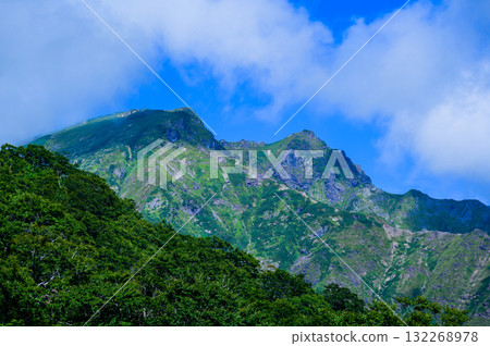 從谷川山天神平看到的苫野咪咪（左）和衝野咪咪 132268978