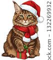 Cute Maine Coon cat in a Santa hat and scarf with a Christmas gift box 132269932
