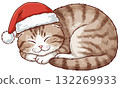 Cute Scottish Fold cat in a Santa hat sleeping peacefully, dreaming of Christmas 132269933