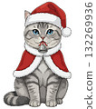 Cute silver tabby British Shorthair cat in Santa costume with a jingle bell. 132269936