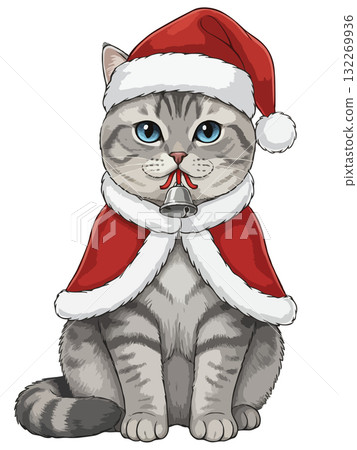 Cute silver tabby British Shorthair cat in Santa costume with a jingle bell. 132269936