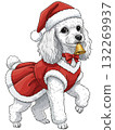 Cute white Poodle dog in a Mrs. Claus costume holding a golden bell 132269937