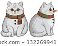 Set of two cute British Shorthair cats disguised as snowmen, a funny Christmas  132269941