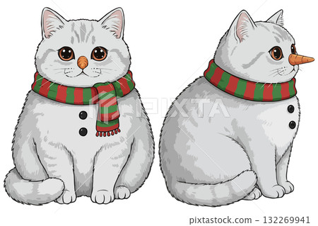 Set of two cute British Shorthair cats disguised as snowmen, a funny Christmas  132269941