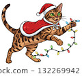 Playful Bengal cat in a Santa costume playing with Christmas lights 132269942