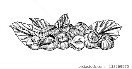 Monochrome hazelnuts with leaves vector illustration. Etching drawing of hazel pods heap painted by black inks. Edible raw seeds for packaging, healthy lifestyle blog, culinary recipe, product design Monochrome hazelnuts with leaves vector illustration. Etching drawing of hazel pods heap painted by black inks. Edible raw seeds for packaging, healthy lifestyle blog, culinary recipe, product design 132269970
