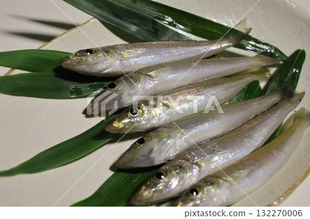 新鮮日本牙鱈 132270006