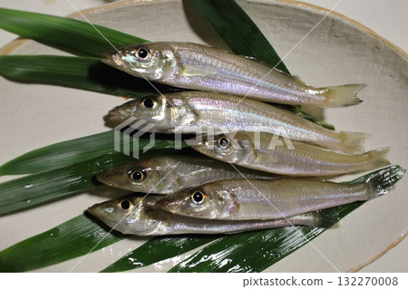 Fresh Japanese whiting 132270008