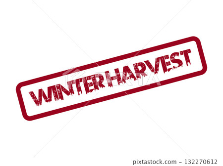 Celebrating seasonal bounty and natural abundance with a rustic winter harvest stamp 132270612