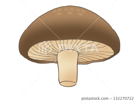 從下方看到的香菇的簡單插圖 132270722