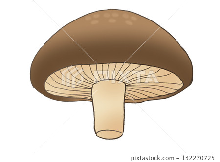 從下方看到的香菇的簡單插圖 132270725