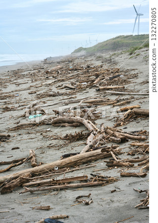 A large amount of driftwood washed up on the beach A large amount of driftwood washed up on the beach 132270805